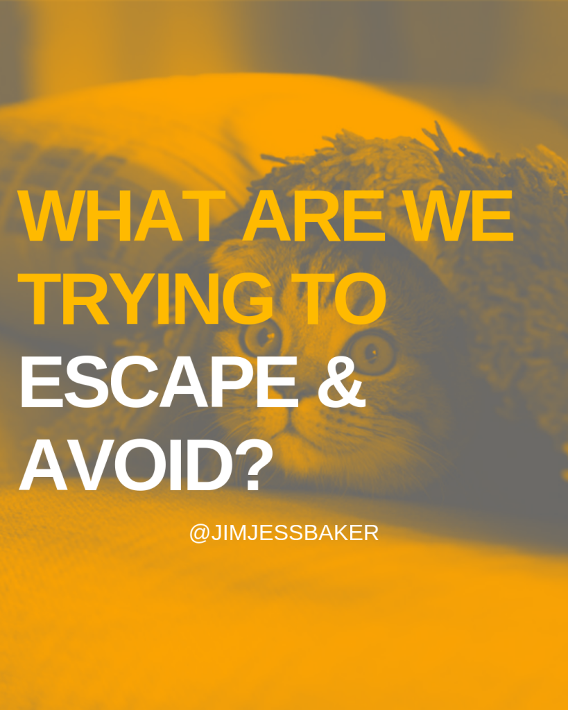 WHAT ARE YOU TRYING TO AVOID & ESCAPE FROM IN LIFE_ (1)